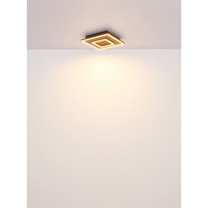Globo - LED Laevalgusti LED/18W/230V 3000K 30x30 cm