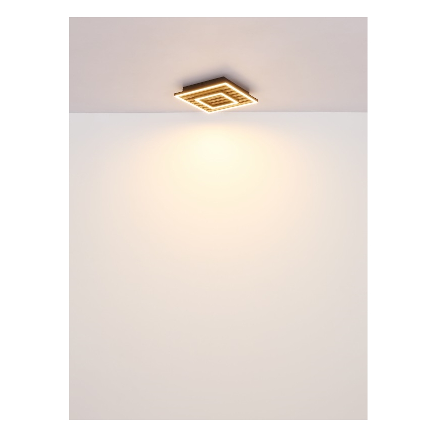 Globo - LED Laevalgusti LED/18W/230V 3000K 30x30 cm