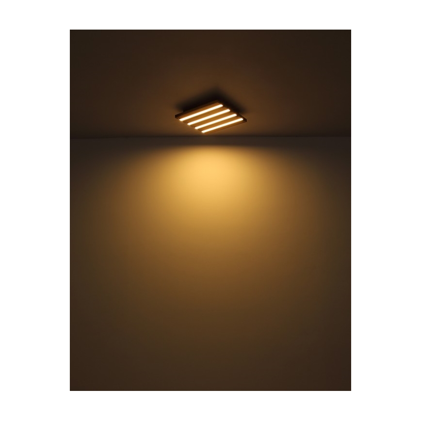 Globo - LED-laelamp 15W/230V 3000K 30x30 cm