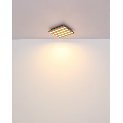 Globo - LED-laelamp 15W/230V 3000K 30x30 cm