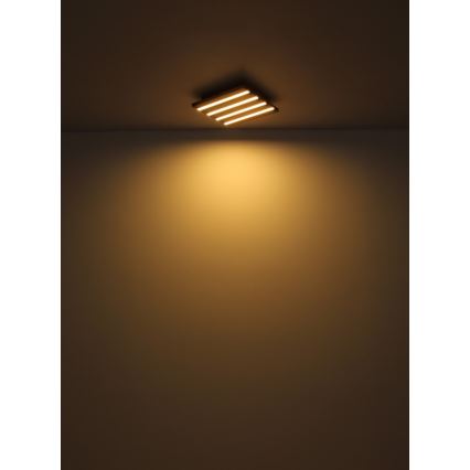 Globo - LED Laevalgusti LED/30W/230V 3000K 45x45 cm puit