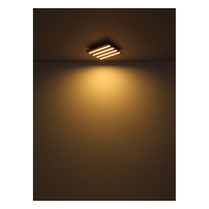 Globo - LED Laevalgusti LED/30W/230V 3000K 45x45 cm puit