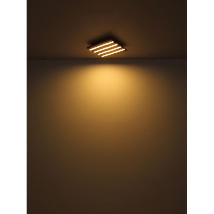 Globo - LED Laevalgusti LED/30W/230V 3000K 80x20 cm puit