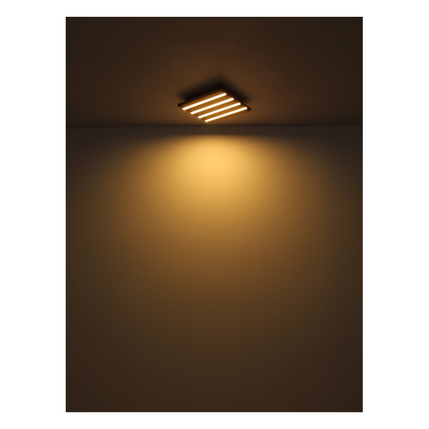 Globo - LED Laevalgusti LED/30W/230V 3000K 80x20 cm puit
