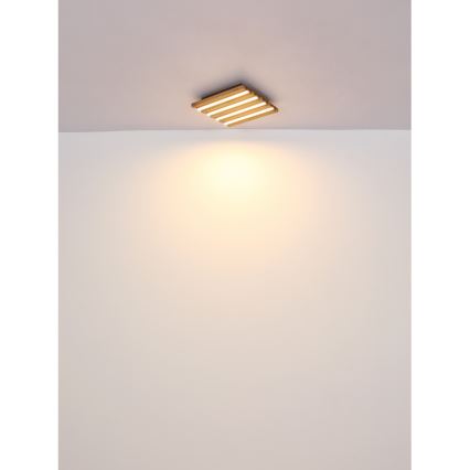 Globo - LED Laevalgusti LED/30W/230V 3000K 80x20 cm puit