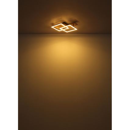 Globo - LED laelamp LED/16W/230V 3000K 33x44 cm