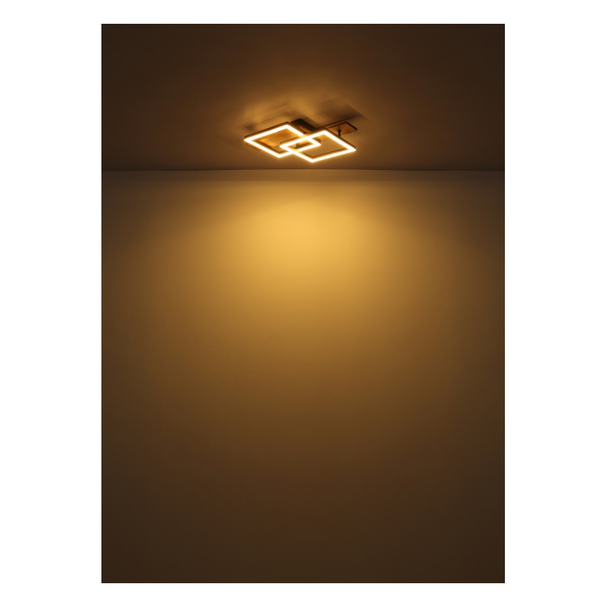 Globo - LED laelamp LED/16W/230V 3000K 33x44 cm