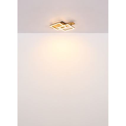 Globo - LED laelamp LED/16W/230V 3000K 33x44 cm