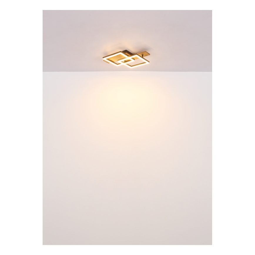 Globo - LED laelamp LED/16W/230V 3000K 33x44 cm