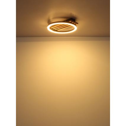 Globo - LED Laevalgusti LED/12W/230V 3000K 30x34 cm