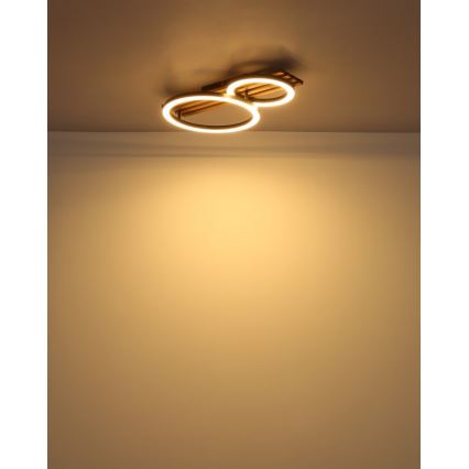 Globo - LED Laevalgusti LED/18W/230V 3000K 30x48 cm