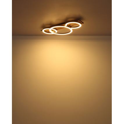 Globo - LED Laevalgusti LED/24W/230V 3000K 30x62 cm
