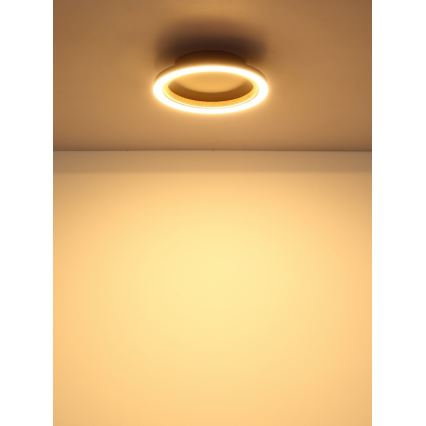 Globo - LED laevalgusti LED/12W/230V 3000K läbimõõt 20,5 cm