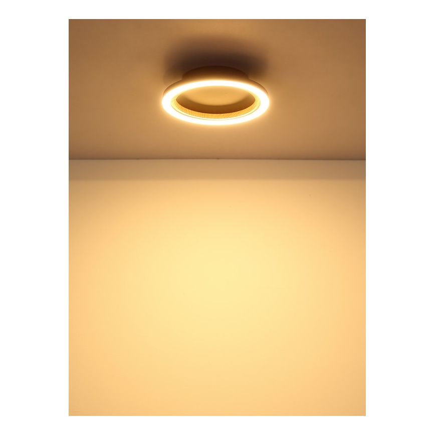 Globo - LED laevalgusti LED/12W/230V 3000K läbimõõt 20,5 cm