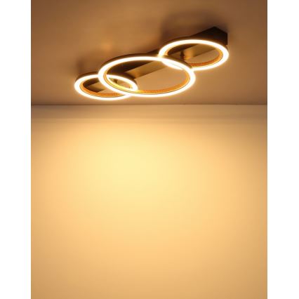 Globo - LED laelamp LED/40W/230V 3000K 58x30 cm