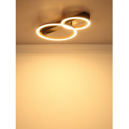 Globo - LED laevalgusti LED/30W/230V 3000K 44x30 cm