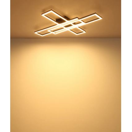 Globo - LED laelamp LED/55W/230V 3000K 80x60 cm