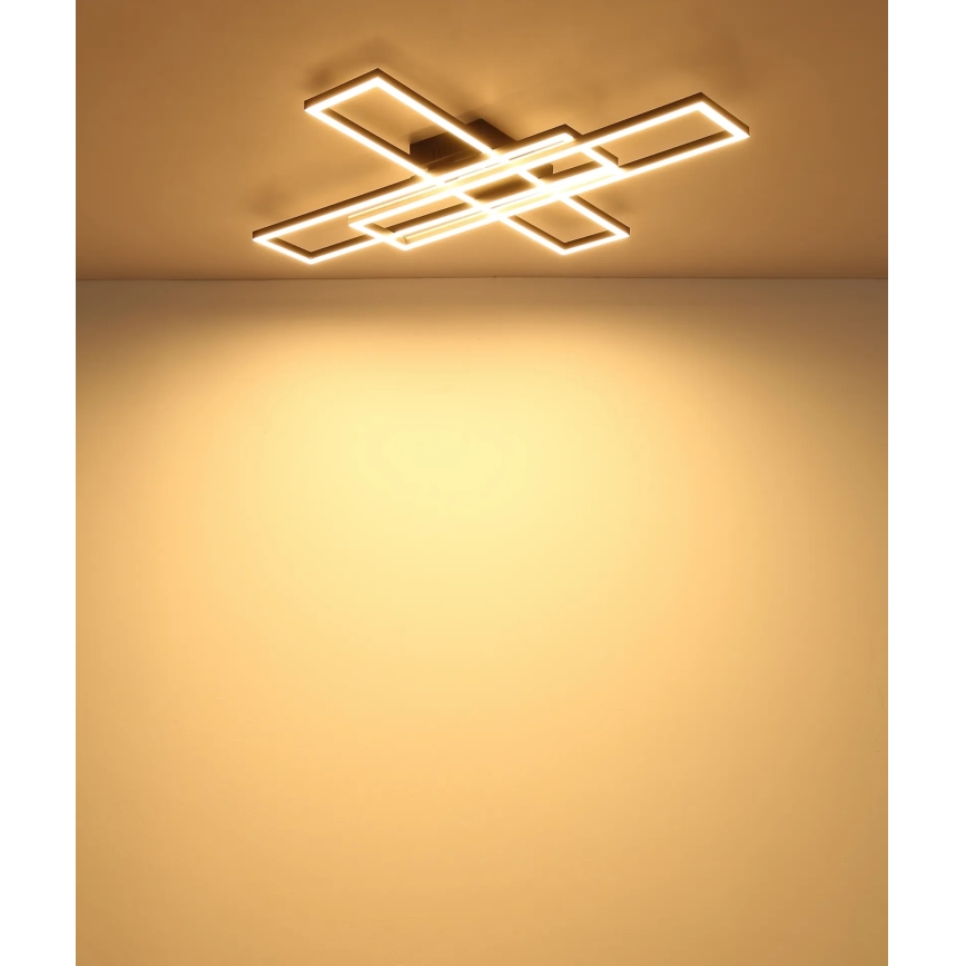 Globo - LED laelamp LED/55W/230V 3000K 80x60 cm