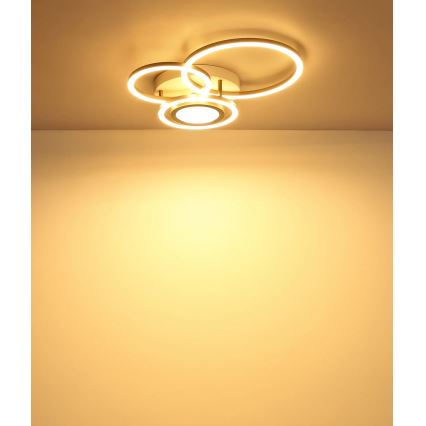 Globo - LED laelamp LED/40W/230V 3000K 49x39 cm