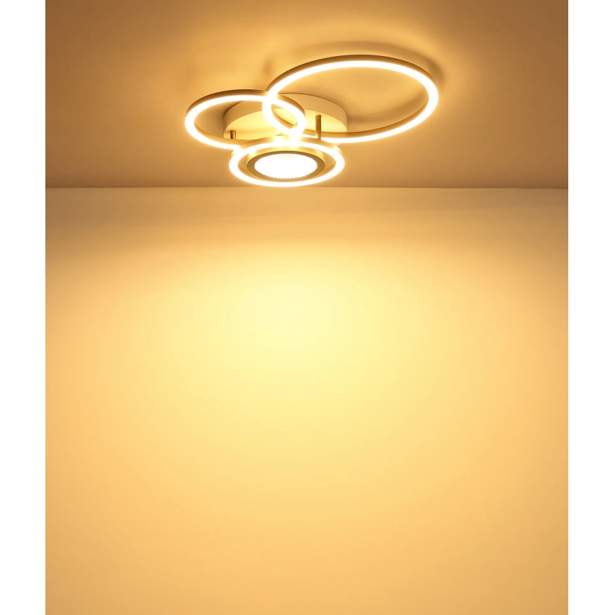 Globo - LED laelamp LED/40W/230V 3000K 49x39 cm