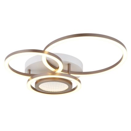 Globo - LED laelamp LED/40W/230V 3000K 49x39 cm