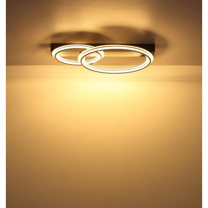 Globo - LED laelamp LED/30W/230V 3000K 33x45 cm