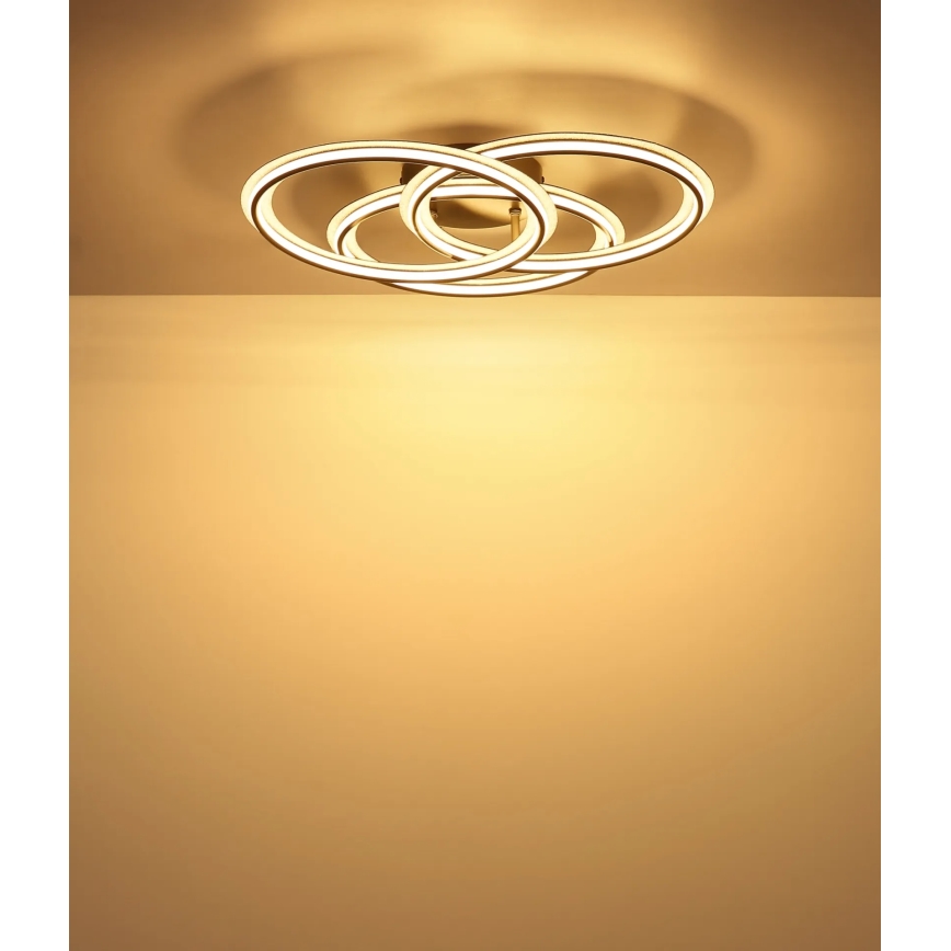 Globo - LED laelamp LED/40W/230V 3000K läbimõõt 52 cm