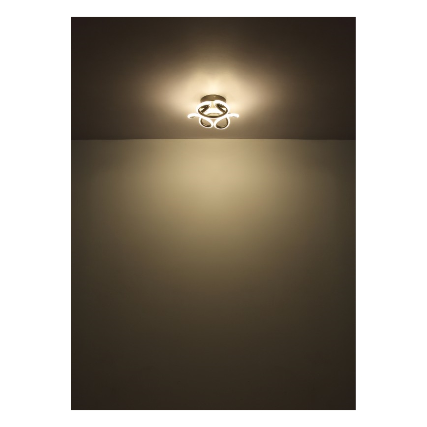 Globo - LED Laevalgusti LED/24W/230V 2700/4000/6000K d. 26 cm must