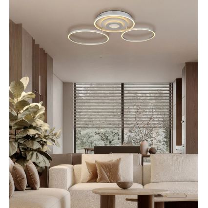 Globo - LED-hämardatav laelamp LED/40W/230V 2700-6500K 57x99,2 cm hõbedane + kaugjuhtimispult