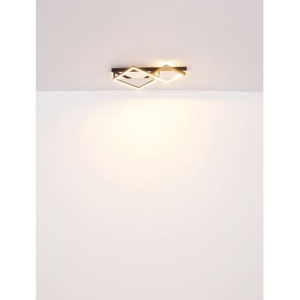 Globo - LED Laevalgusti LED/24W/230V 3000K