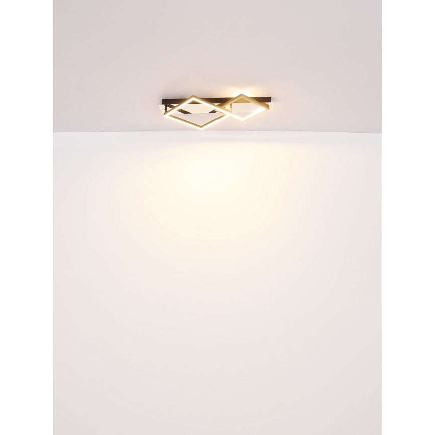 Globo - LED Laevalgusti LED/24W/230V 3000K
