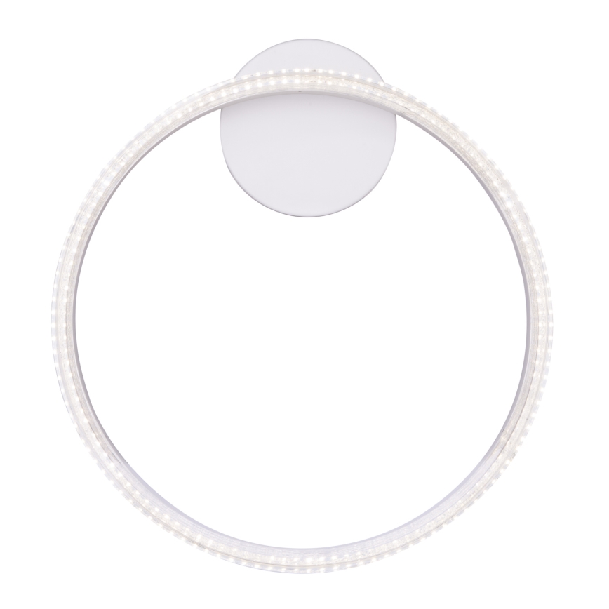 Globo - LED Laevalgusti LED/24W/230V