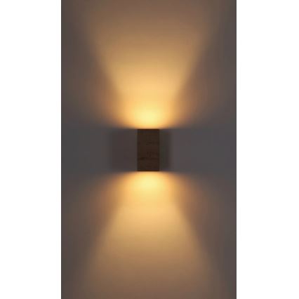Globo - LED seinalamp LED/6W/230V 3000K