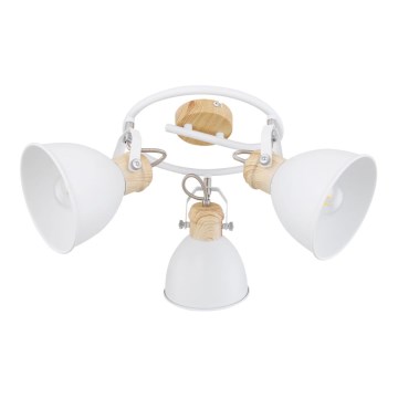 Globo - Kohtvalgusti 3xE27/40W/230V