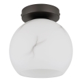 Globo - Laelamp 1xE27/60W/230V läbimõõt 20 cm
