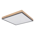 Globo - LED Hämardatav laelamp LED/24W/230V 3000-6500K 45x45 cm