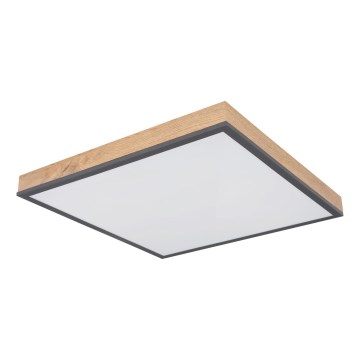 Globo - LED Hämardatav laelamp LED/24W/230V 3000-6500K 45x45 cm