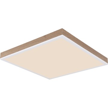 Globo - LED Hämardatav laevalgusti LED/24W/230V 2700-6500K + kaugjuhtimispult pruun/valge