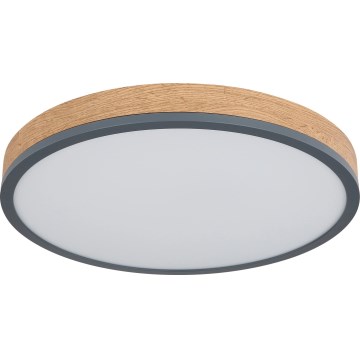 Globo - LED hämardatav laevalgusti LED/24W/230V 3000-6500K läb. 45 cm