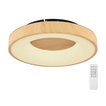 Globo - LED Hämardatav laevalgusti LED/30W/230V + kaugjuhtimispult
