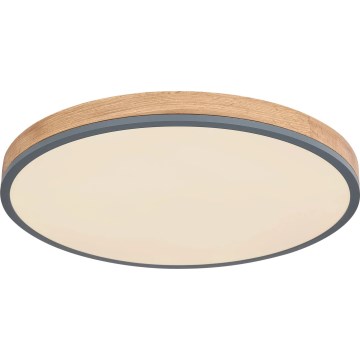 Globo - LED Hämardatav laevalgusti LED/40W/230V 2700-6500K d. 60 cm + kaugjuhtimispult pruun/hall