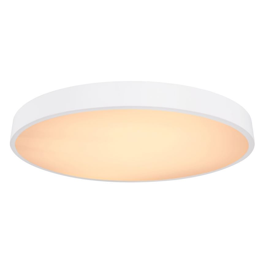 Globo - LED Hämardatav laevalgusti LED/48W/230V 3000-6000K + kaugjuhtimispult
