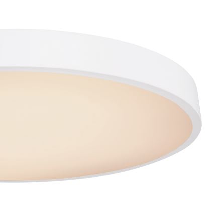 Globo - LED Hämardatav laevalgusti LED/48W/230V 3000-6000K + kaugjuhtimispult