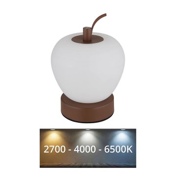Globo - LED Hämardatav puutetundlik laualamp LED/2W/3,7V 2700K/4000K/6500K 1200 mAh USB pruun