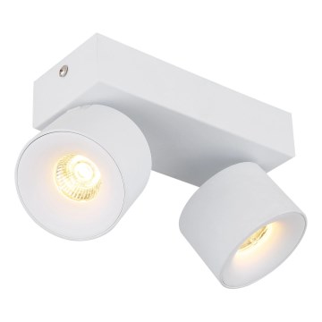 Globo - LED Kohtvalgusti 2xLED/6W/230V valge