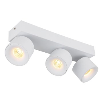 Globo - LED Kohtvalgusti 3xLED/6W/230V valge