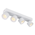 Globo - LED Kohtvalgusti 4xLED/6W/230V valge