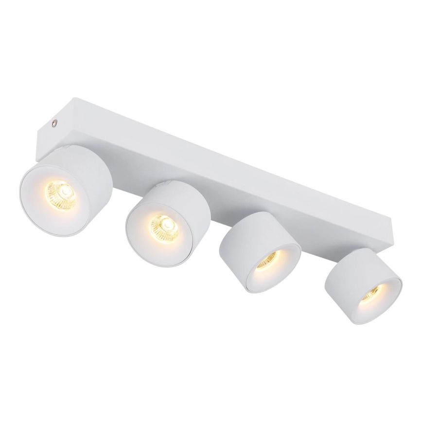 Globo - LED Kohtvalgusti 4xLED/6W/230V valge