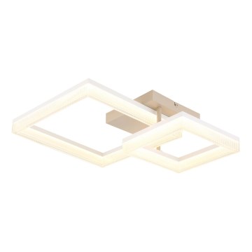 Globo - LED laelamp LED/24W/230V 3000K 46,5x62,5 cm