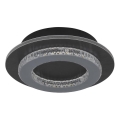 Globo - LED laevalgusti LED/12W/230V 3000/4000/6500K läbimõõt 20 cm antratsiit